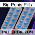 Big Penis Pills 23